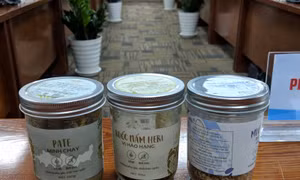 TP Hồ Chí Minh thu hồi được 103 hộp sản phẩm pate Minh Chay