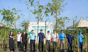 Ngày hội trồng cây ‘Chung tay vì tương lai xanh’
