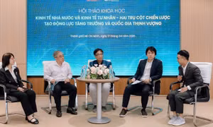 Phát huy vài trò kinh tế nhà nước và tư nhân để tạo động lực tăng trưởng