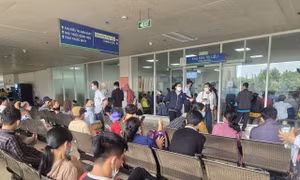 Ung thư tuyến giáp tăng nhanh tại Việt Nam