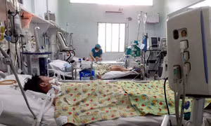 TP Hồ Chí Minh: Tăng nhanh số ca chuyển nặng và tử vong vì sốt xuất huyết 
