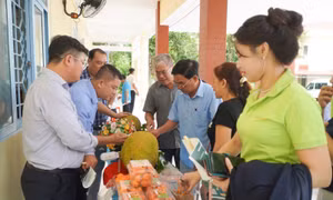 Vĩnh Long thí điểm phát triển chuỗi giá trị ngành hàng mít