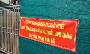 TP Hồ Chí Minh quyết liệt thực hiện đồng bộ các giải pháp ngăn chặn dịch SXH
