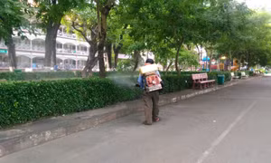 TP Hồ Chí Minh có số ca tử vong do sốt xuất huyết cao nhất khu vực phía Nam