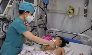 TP Hồ Chí Minh: Số ca mắc sốt xuất huyết vẫn ở mức cao