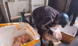 TP Hồ Chí Minh: Phát hiện gần 1.300 kg thực phẩm đông lạnh không rõ nguồn gốc, xuất xứ