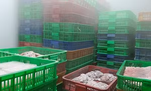 TP Hồ Chí Minh phát hiện hàng ngàn kg thịt gia súc, gia cầm, thuỷ sản không rõ nguồn gốc