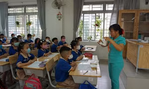 TP Hồ Chí Minh công bố thời gian tuyển sinh vào các lớp đầu cấp