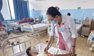 TP Hồ Chí Minh: Nhiều ca sốt xuất huyết nặng phải sử dụng ECMO