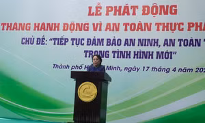 TP Hồ Chí Minh: Sẽ tập trung kiểm tra đột xuất các bếp ăn trường học