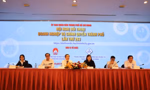 Doanh nghiệp giáo dục TP Hồ Chí Minh kêu gọi cải cách thủ tục, mở rộng giảng dạy ngoại ngữ