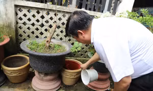 Trang bị 'lá chắn kép' để chủ động ứng phó dịch sốt xuất huyết