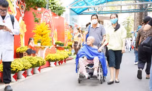 Đường hoa 'Xuân gắn kết - Tết 3 miền' trong bệnh viện mang lại niềm vui cho người bệnh