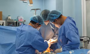 Dùng màng ngoài tim bò cứu bệnh nhân bị viêm thủng động mạch chủ 