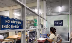 TP Hồ Chí Minh: Được chủ động nhập khẩu thuốc giải quyết tình trạng thiếu thuốc hiếm