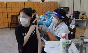 TP Hồ Chí Minh: Sẵn sàng kích hoạt cơ sở điều trị COVID-19 nếu biến chủng BA.5 xuất hiện