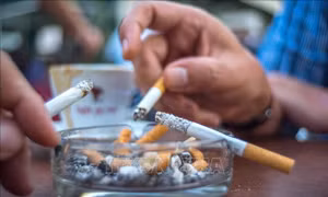 WHO đánh giá cao cải cách thuế thuốc lá của Việt Nam