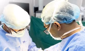 Uống hoa đu đủ đực có chữa được bệnh ung thư như ‘truyền miệng’?