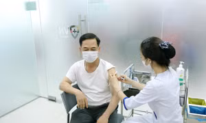 Vaccine phòng sốt xuất huyết Nhật Bản dự kiến sẽ có mặt tại Việt Nam