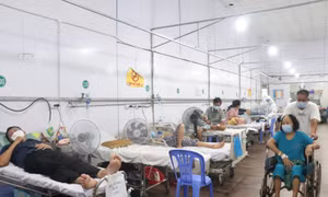 TP Hồ Chí Minh: Ghi nhận nhiều vấn đề liên quan đến sức khỏe của người dân sau khi mắc COVID-19