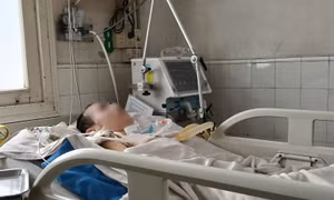 Viêm não Nhật Bản gia tăng ở người lớn, bệnh nặng, di chứng lâu dài