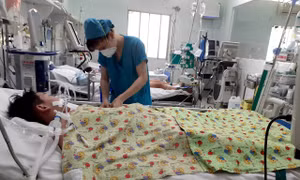Sốt xuất huyết phức tạp, các bệnh viện TP Hồ Chí Minh triển khai tập huấn