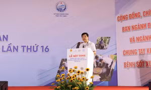 Bộ Y tế kêu gọi tăng cường phòng, chống sốt xuất huyết trong mùa cao điểm