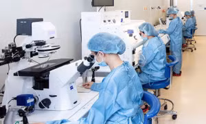 Thường xuyên tiếp xúc với hoá chất độc hại có thể tăng nguy cơ vô sinh ở nam giới