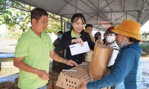 Trao quà Tết, hỗ trợ sinh kế cho người dân Đắk Lắk bị ảnh hưởng bởi thiên tai