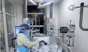 Trẻ dưới 1 tuổi có nguy cơ mắc vi khuẩn não mô cầu nhóm B cao nhất 