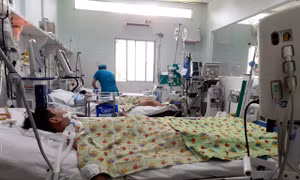 TP Hồ Chí Minh: Ca sốt xuất huyết nặng tăng 500%