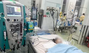 TP Hồ Chí Minh: Sốt xuất huyết gia tăng, nhiều trẻ bị sốc và suy đa tạng