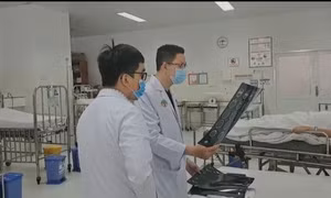 TP Hồ Chí Minh: Thông tin sức khỏe các nạn nhân trong vụ cây me bật gốc đổ tại trường THCS Trần Văn Ơn