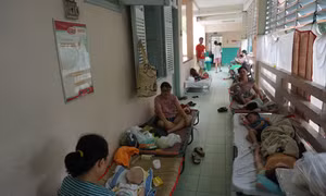 TP Hồ Chí Minh bước vào mùa cao điểm sốt xuất huyết và tay chân miệng