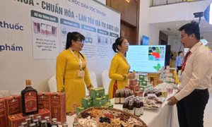 Phát triển y học cổ truyền gắn với y học hiện đại là yêu cầu tất yếu trong giai đoạn mới