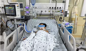 Ba chị em bị ngộ độc sau khi ăn thịt chuột đồng nướng