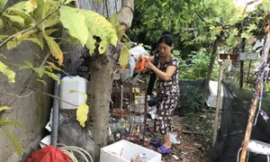 TP Hồ Chí Minh: Chủ động phòng ngừa muỗi đốt để duy trì thành quả loại trừ bệnh sốt rét