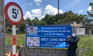 TP Hồ Chí Minh xuất hiện 55 ổ dịch sốt xuất huyết mới ở 49 phường, xã