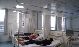 Hơn 50% mẫu xét nghiệm có Salmonella trong vụ 108 người ngộ độc sau khi ăn bánh mì ở Vũng Tàu