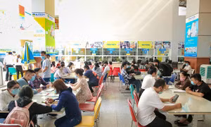 Các trường đại học tại TP Hồ Chí Minh công bố ngưỡng điểm nhận hồ sơ xét tuyển