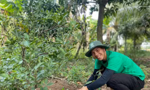 ‘Vườn xanh cộng đồng’ nâng cao nhận thức bảo vệ môi trường