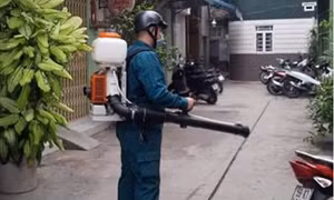 TP Hồ Chí Minh: Chủ động các biện pháp trước nguy cơ tái xuất hiện bệnh Chikungunya