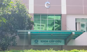 Thông tin mới nhất về tình trạng sức khỏe các học sinh bị tai nạn do cây phượng trong sân trường bật gốc 