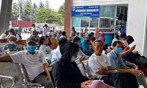 31 tỉnh, thành đồng thuận xây dựng mạng lưới phòng chống ung thư quy mô vùng 
