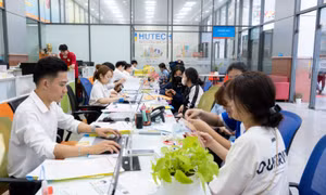 Nhiều trường đại học công bố điểm trúng tuyển bằng phương thức xét tuyển sớm