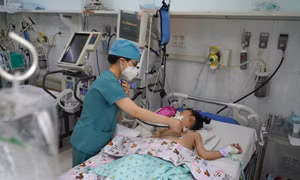 Chủ động thực hiện chiến lược tích hợp dự phòng và kiểm soát sốt xuất huyết