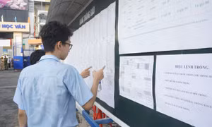 TP Hồ Chí Minh công bố điểm thi lớp 10, có 82 bài thi môn Toán bị điểm liệt