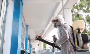 TP Hồ Chí Minh triển khai giám sát bệnh Chikungunya lây lan từ muỗi vằn