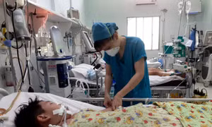TP Hồ Chí Minh vượt mốc 10.000 ca mắc sốt xuất huyết, nhiều trường hợp nhập viện đã suy đa tạng