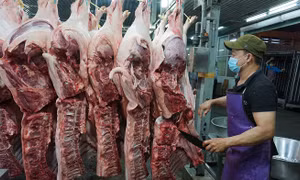 Siết quản lý giết mổ ở Hải Phòng: Áp lực từ hàng nghìn cơ sở nhỏ lẻ